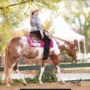 Meet your Posher, Gwendolyn